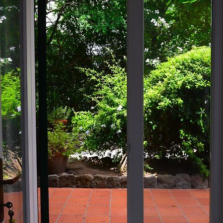 Il Giardino Selvatico Di Succellario - Apartments 바라노디스키아 외부 사진