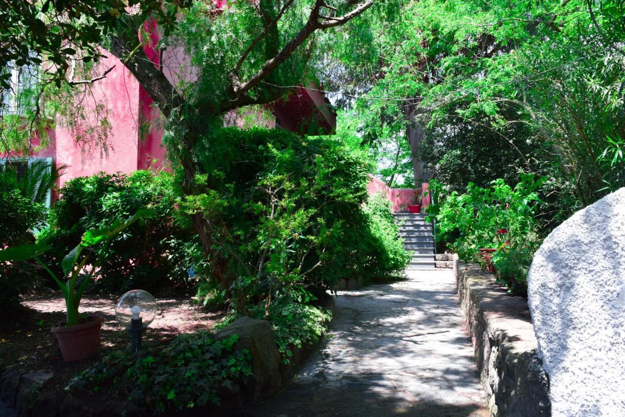 Il Giardino Selvatico Di Succellario - Apartments 바라노디스키아 외부 사진